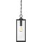 Quoizel Westover 1-Light Earth Black Mini Pendant WVR1507EK - alternate 4